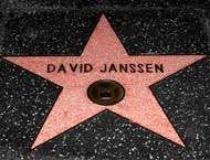 Janssen received a star on the Hollywood Walk of Fame in the year 1989. The star was in front of his favorite ice cream shops when he was a child.